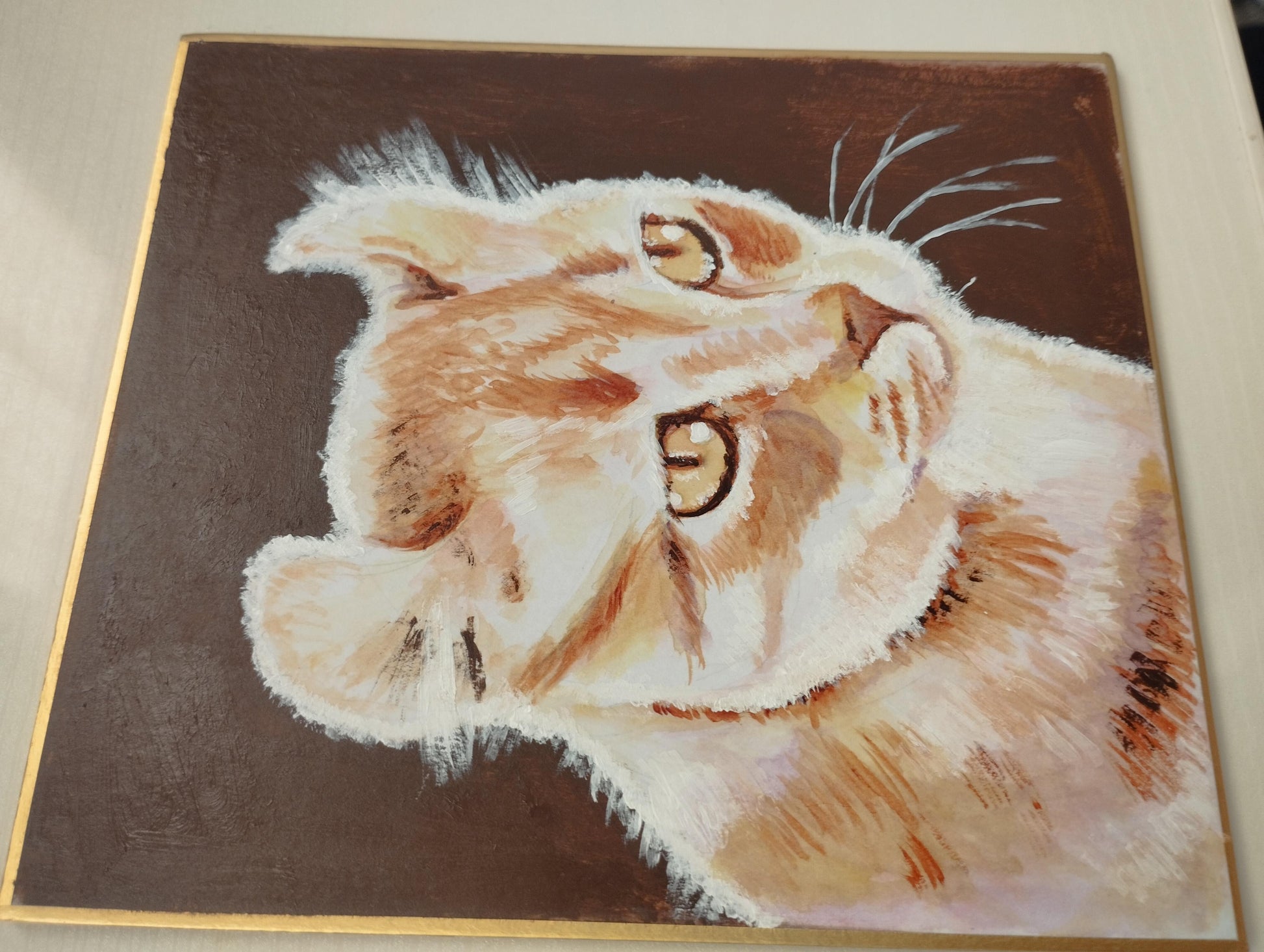 耳が特徴的な猫 - FROM ARTIST