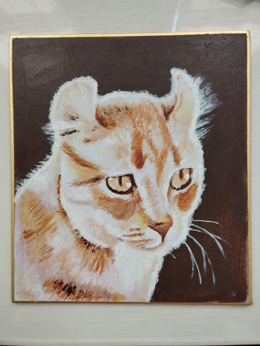 耳が特徴的な猫 - FROM ARTIST