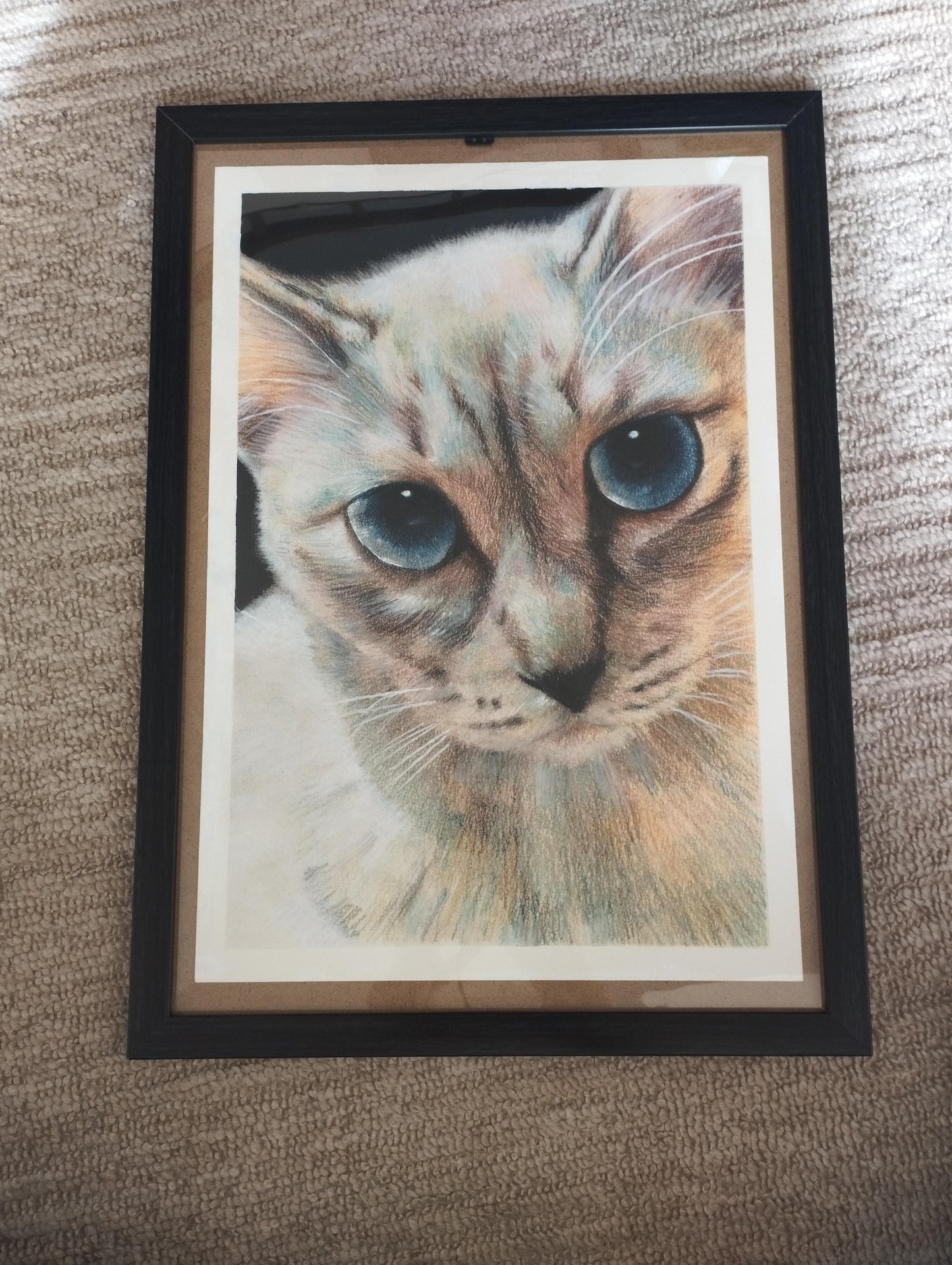 覗き込む猫 - FROM ARTIST