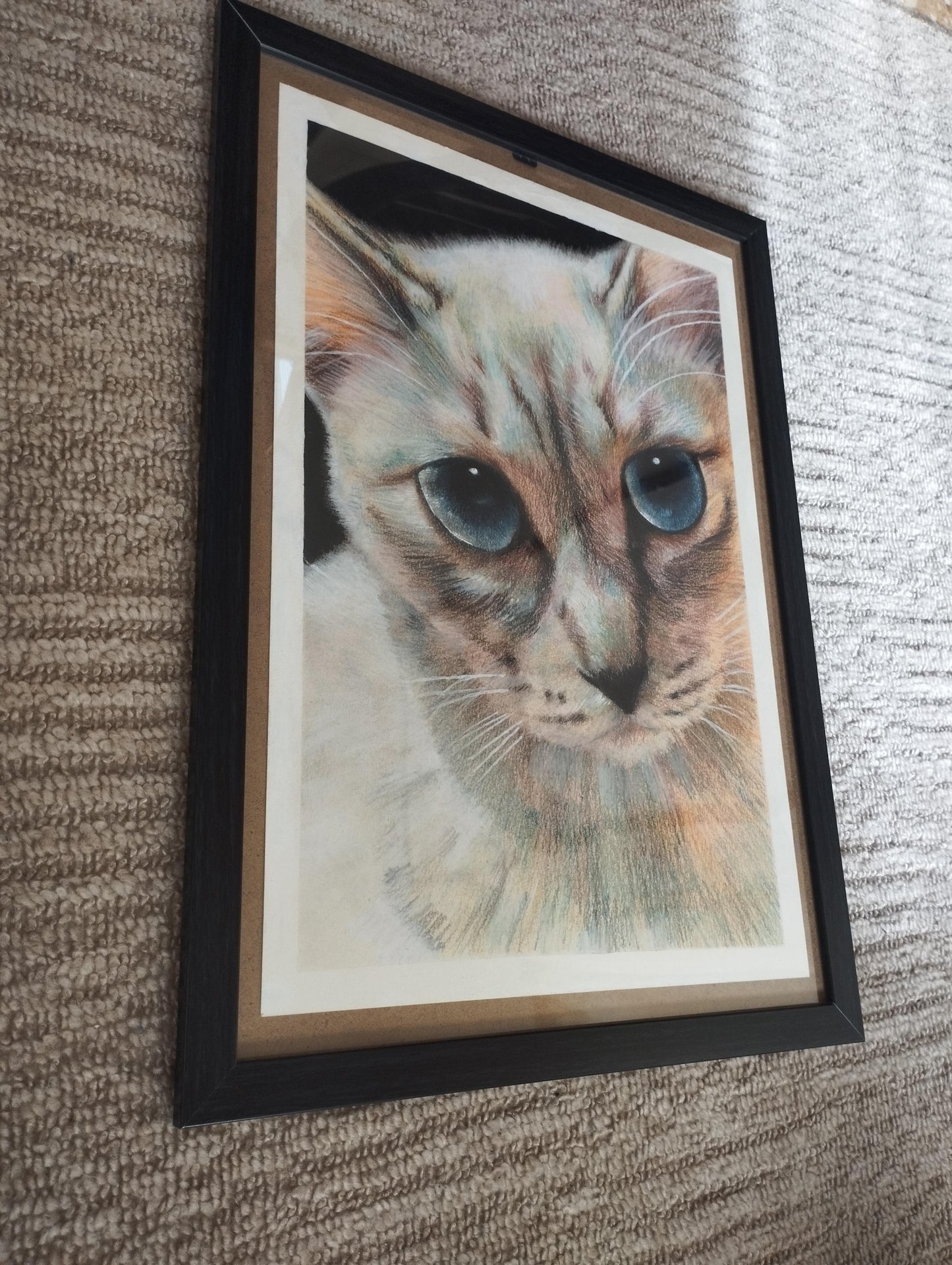 覗き込む猫 - FROM ARTIST