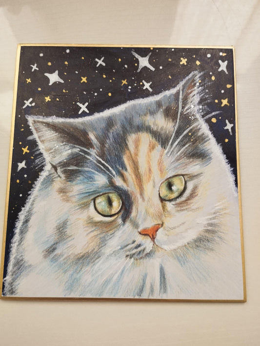 夢に出てきそうな猫 - FROM ARTIST