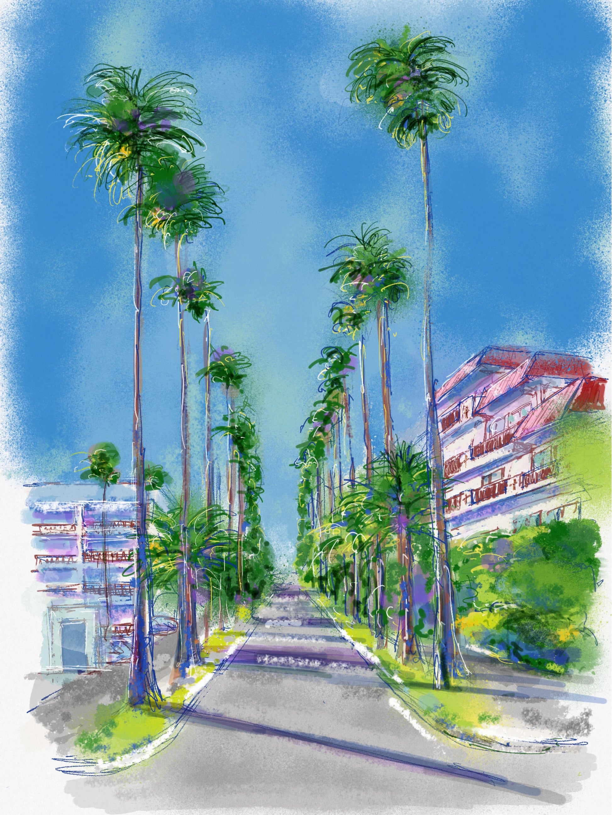 逗子マリーナ - FROM ARTIST