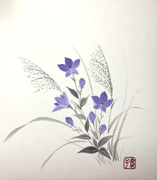 桔梗と薄 - FROM ARTIST