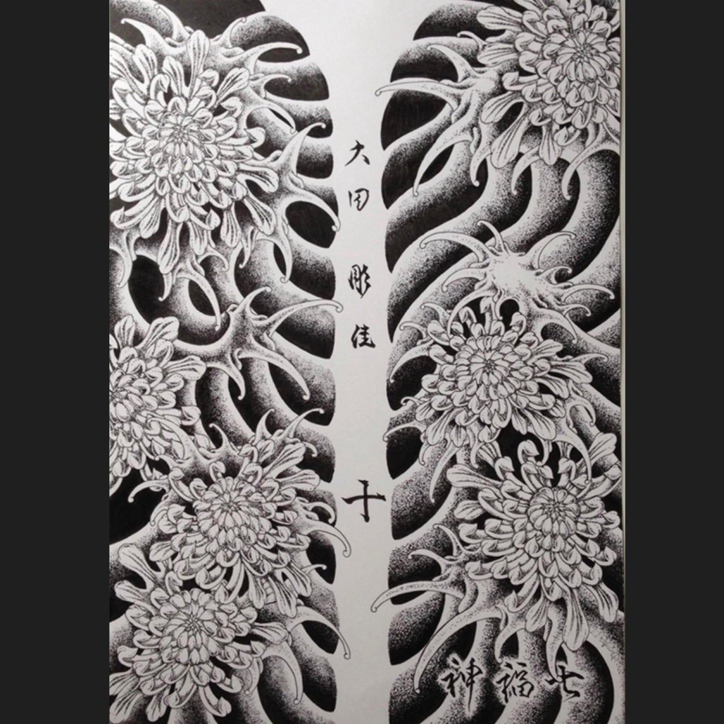 菊水 - FROM ARTIST