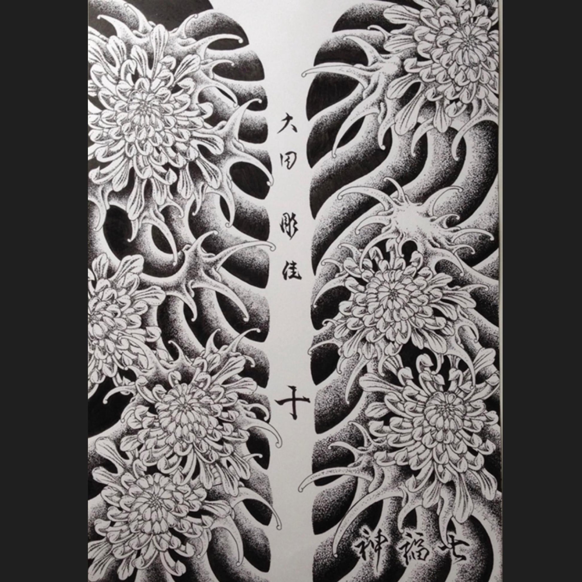 菊水 - FROM ARTIST