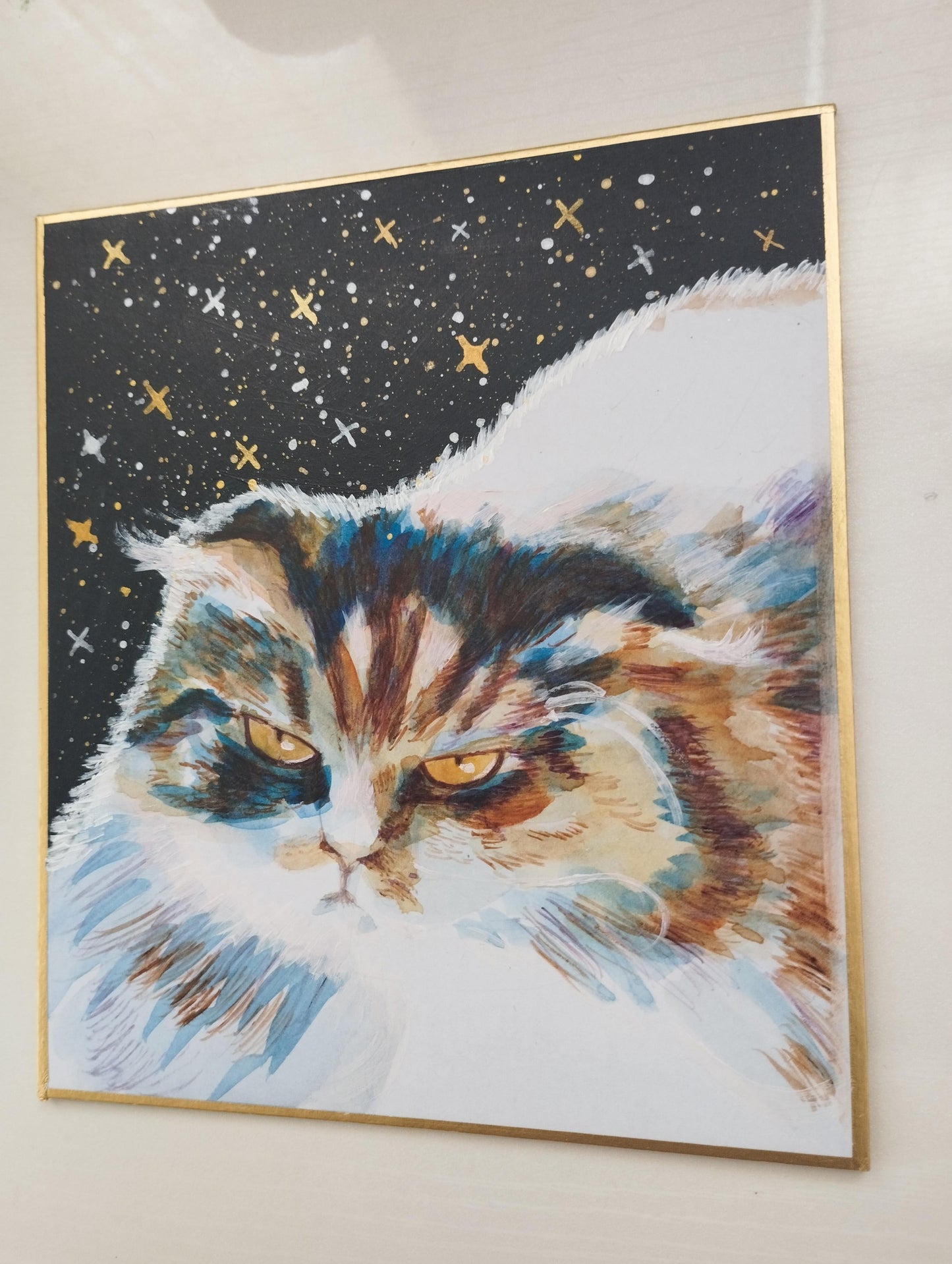 目の鋭い猫 - FROM ARTIST