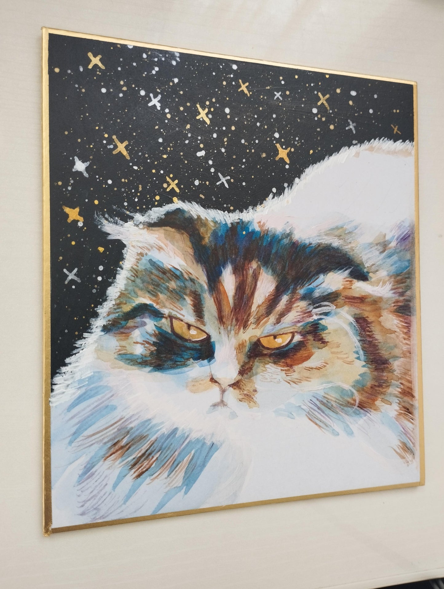 目の鋭い猫 - FROM ARTIST