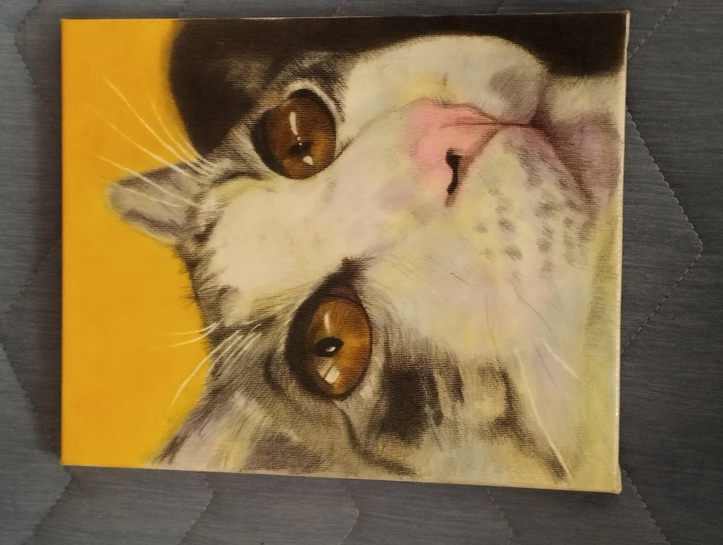 上を見る猫 - FROM ARTIST