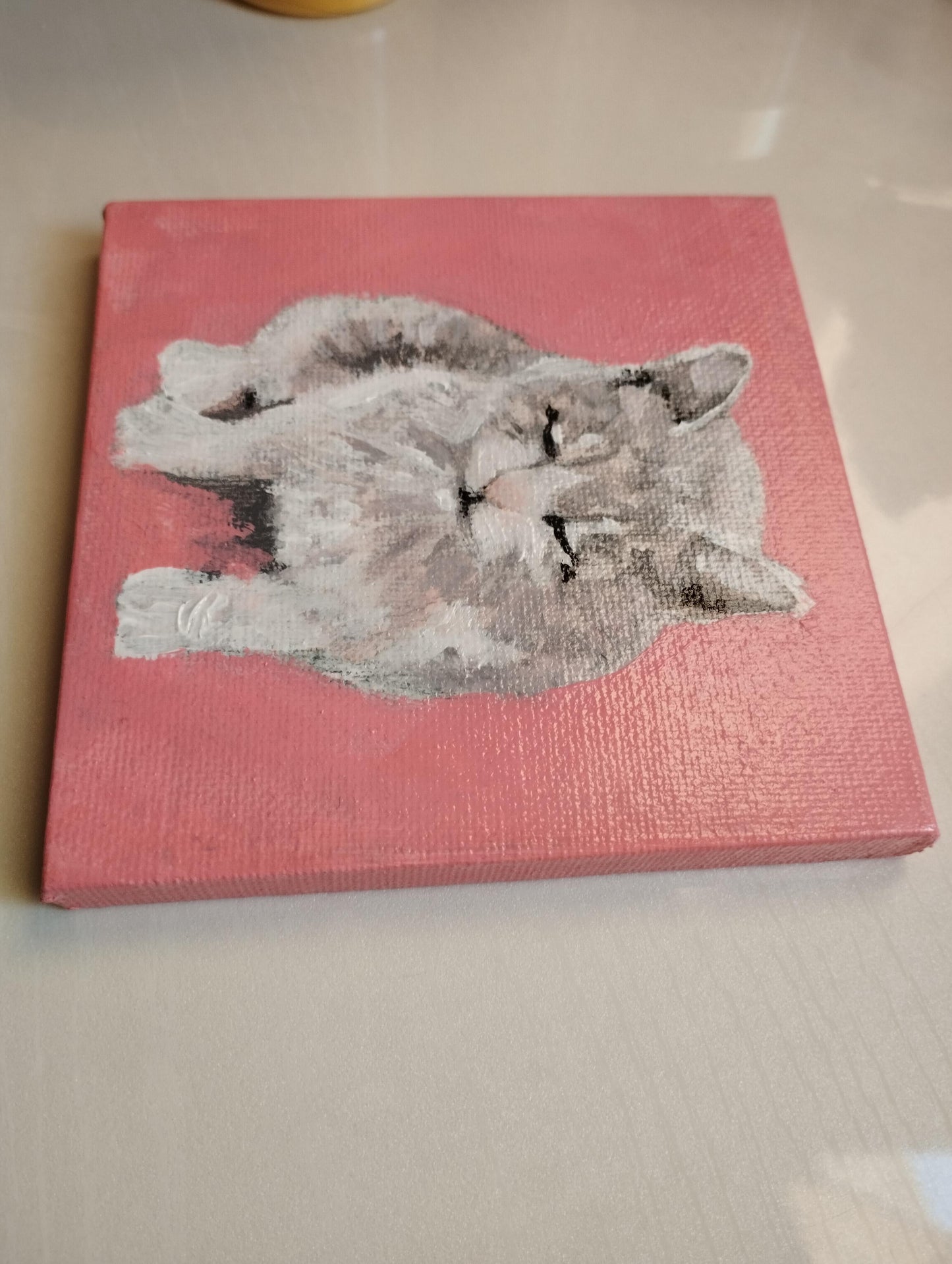 灰色猫 - FROM ARTIST