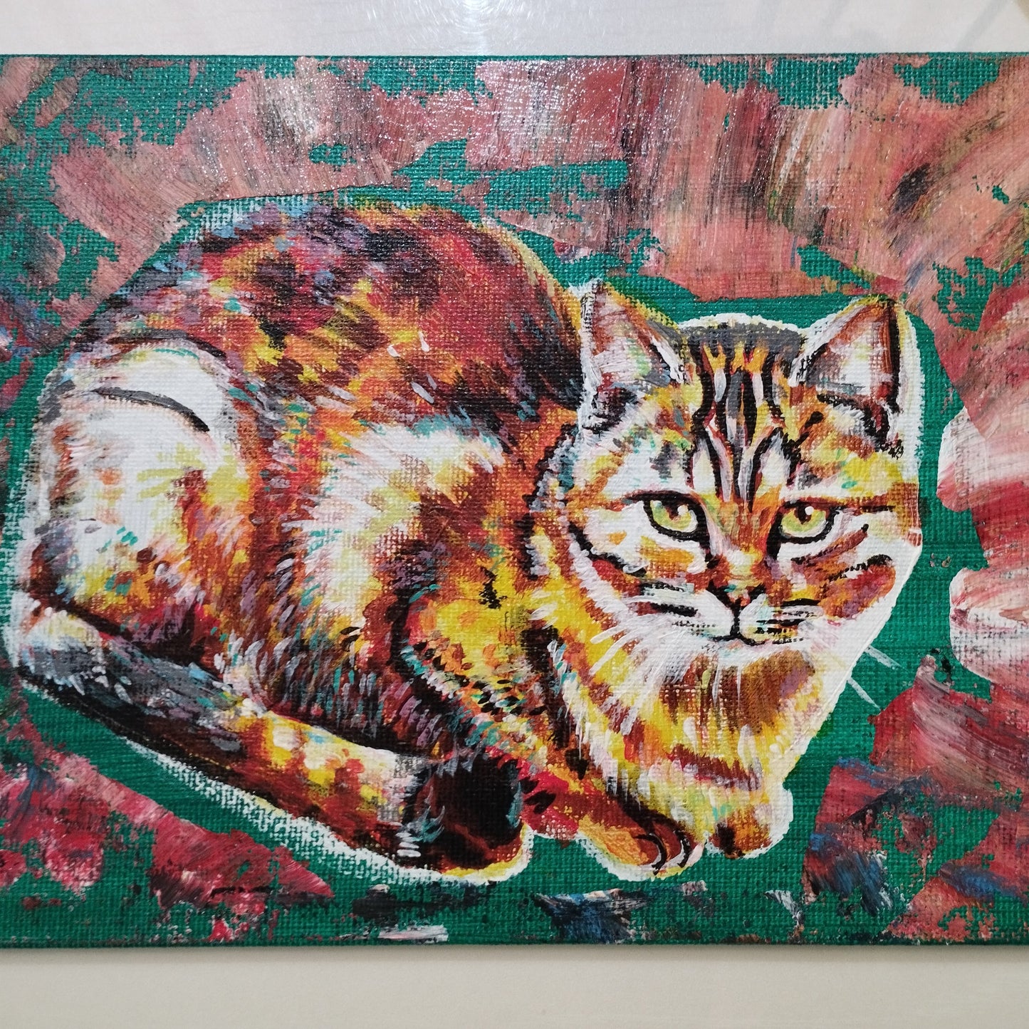 太陽みたいな猫 - FROM ARTIST