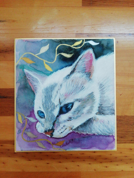 白い猫 - FROM ARTIST