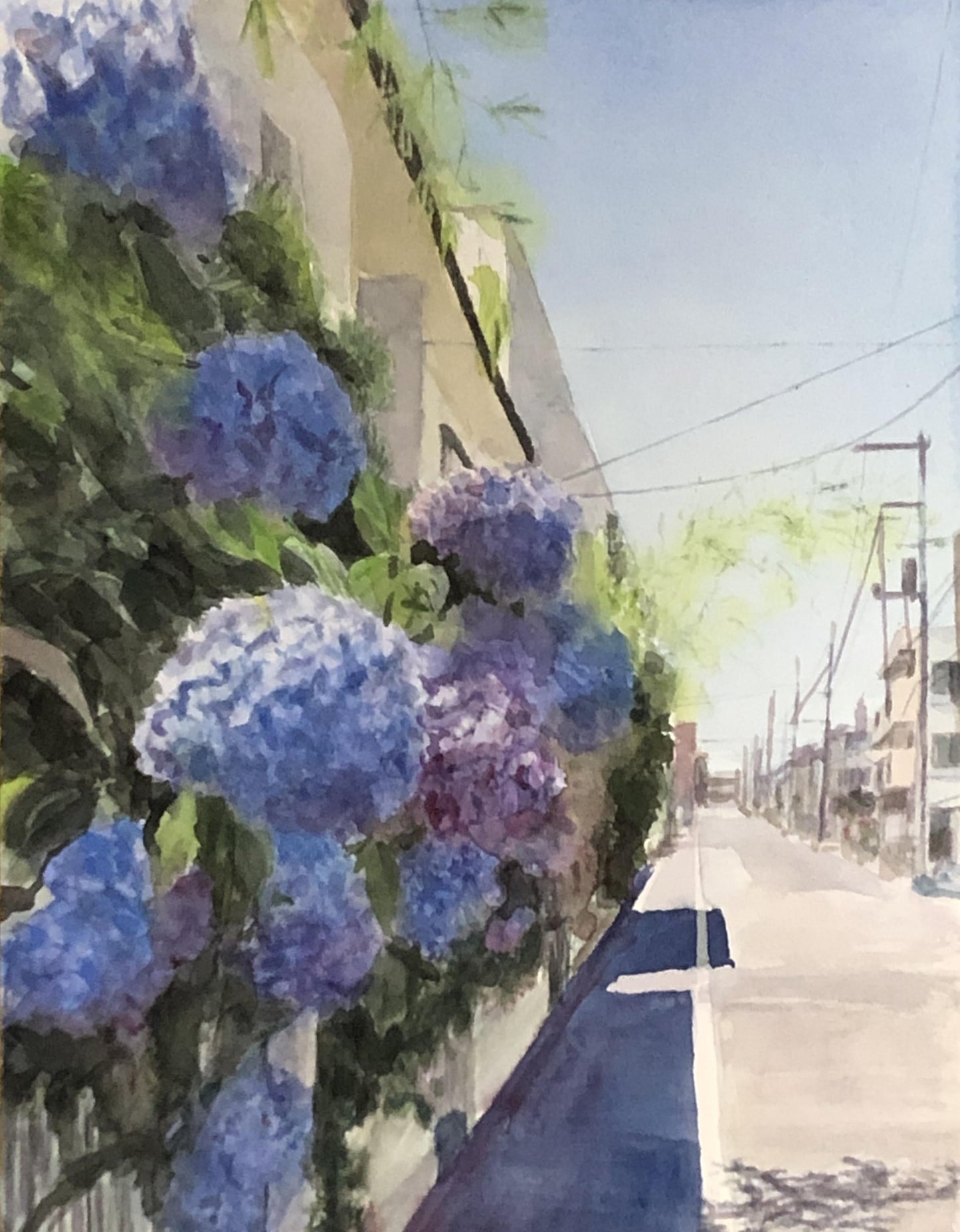 あじさいの季節 - FROM ARTIST