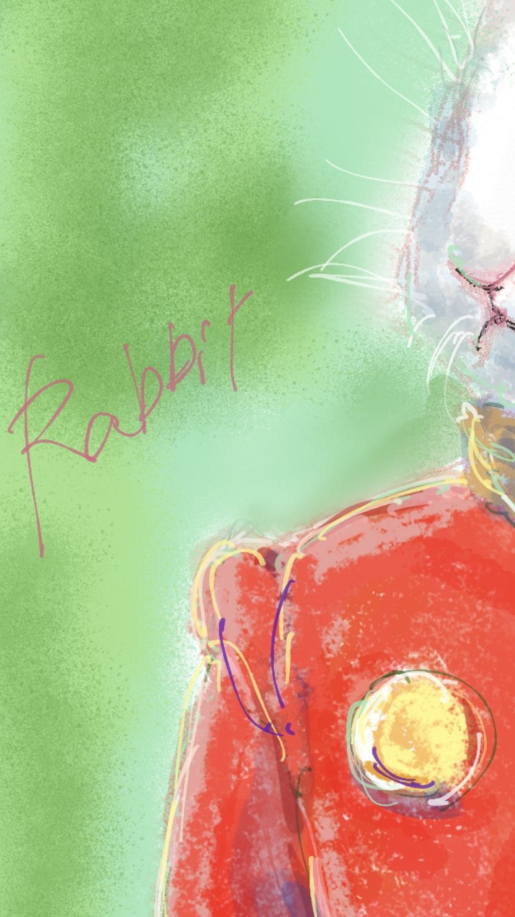 Rabbit Fighter - FROM ARTIST