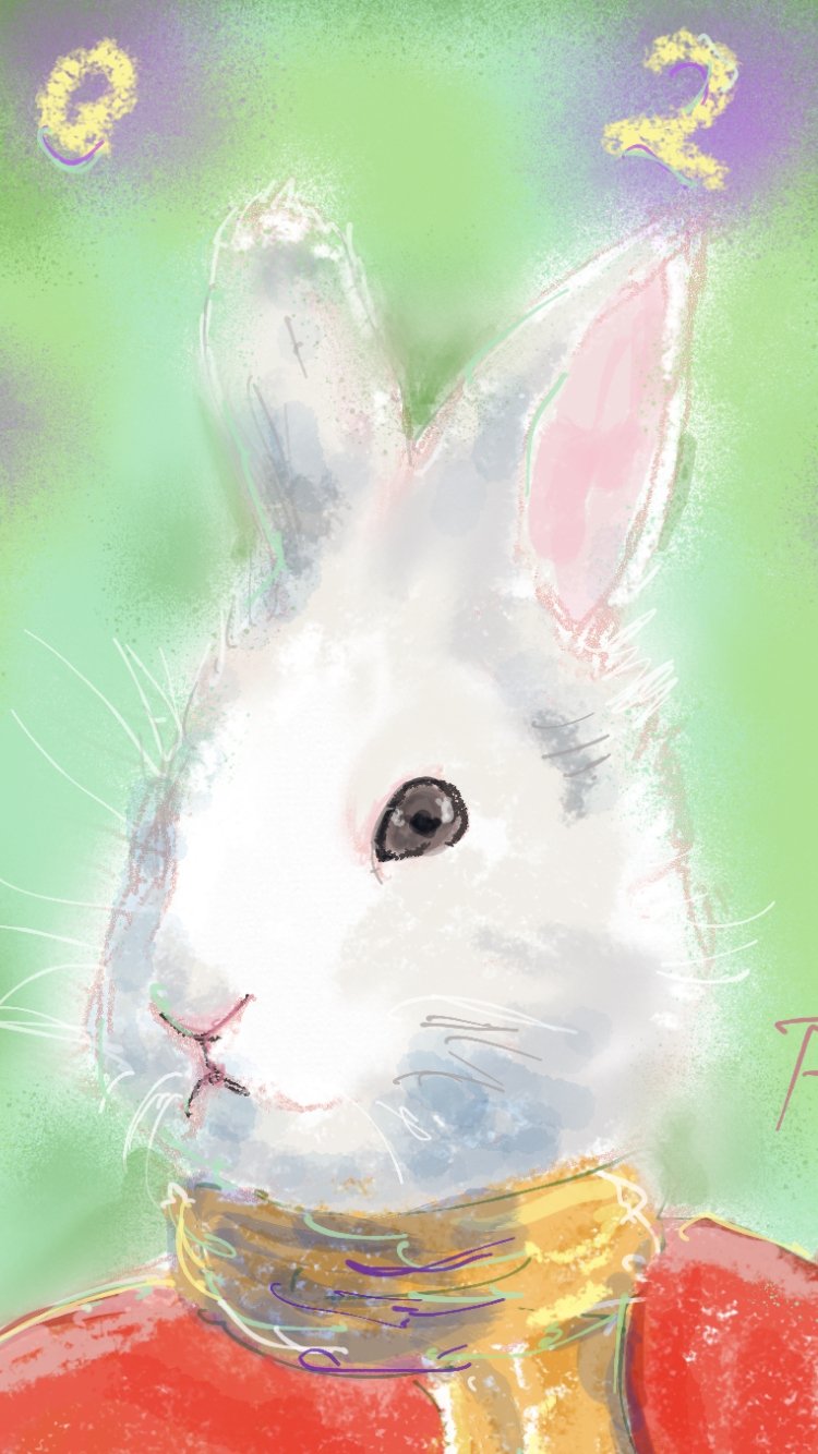 Rabbit Fighter - FROM ARTIST