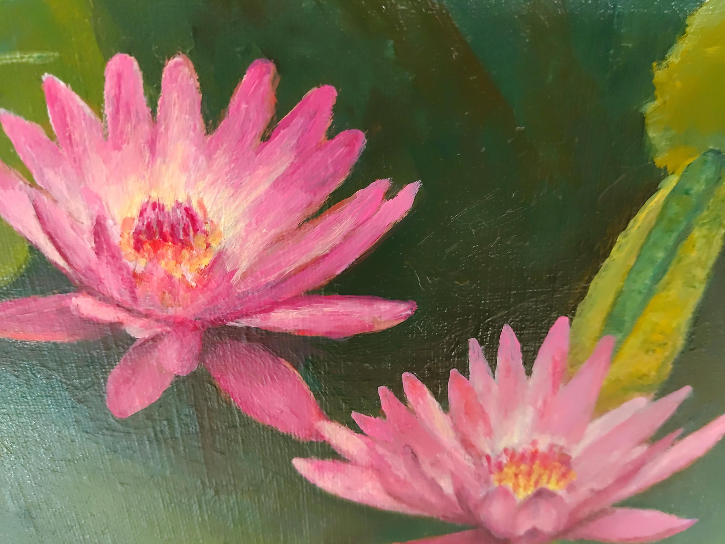 Water Lilies(紫) - FROM ARTIST