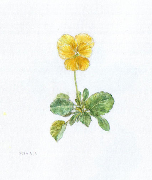 花のまなざし──静寂から躍動、そして祈りへ - FROM ARTIST