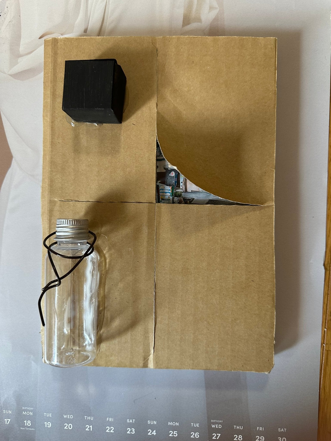 風景が照らす、静かな感情の旅――内省から光へ - FROM ARTIST