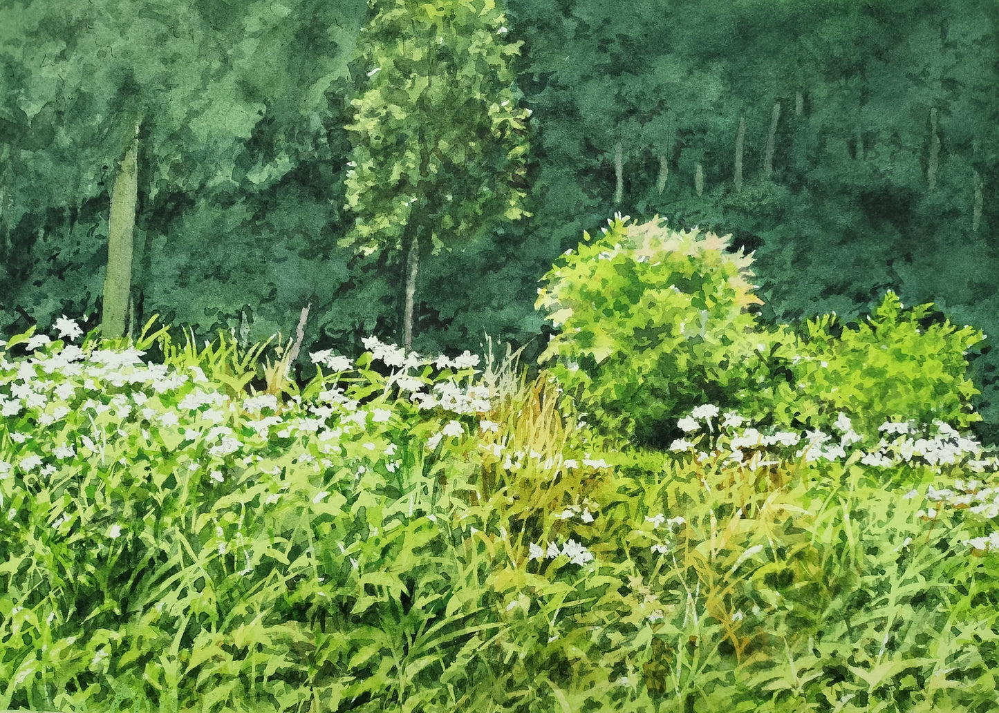 道端の白い花