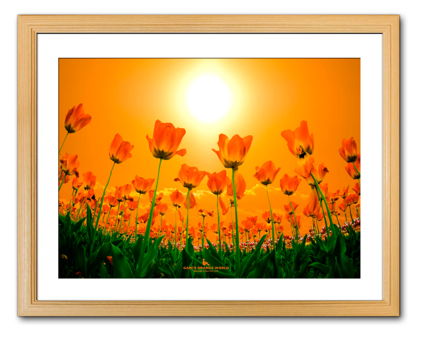【額付アート写真/A3ノビ】ORANGE TULIP FIELD（オレンジチューリップ畑）