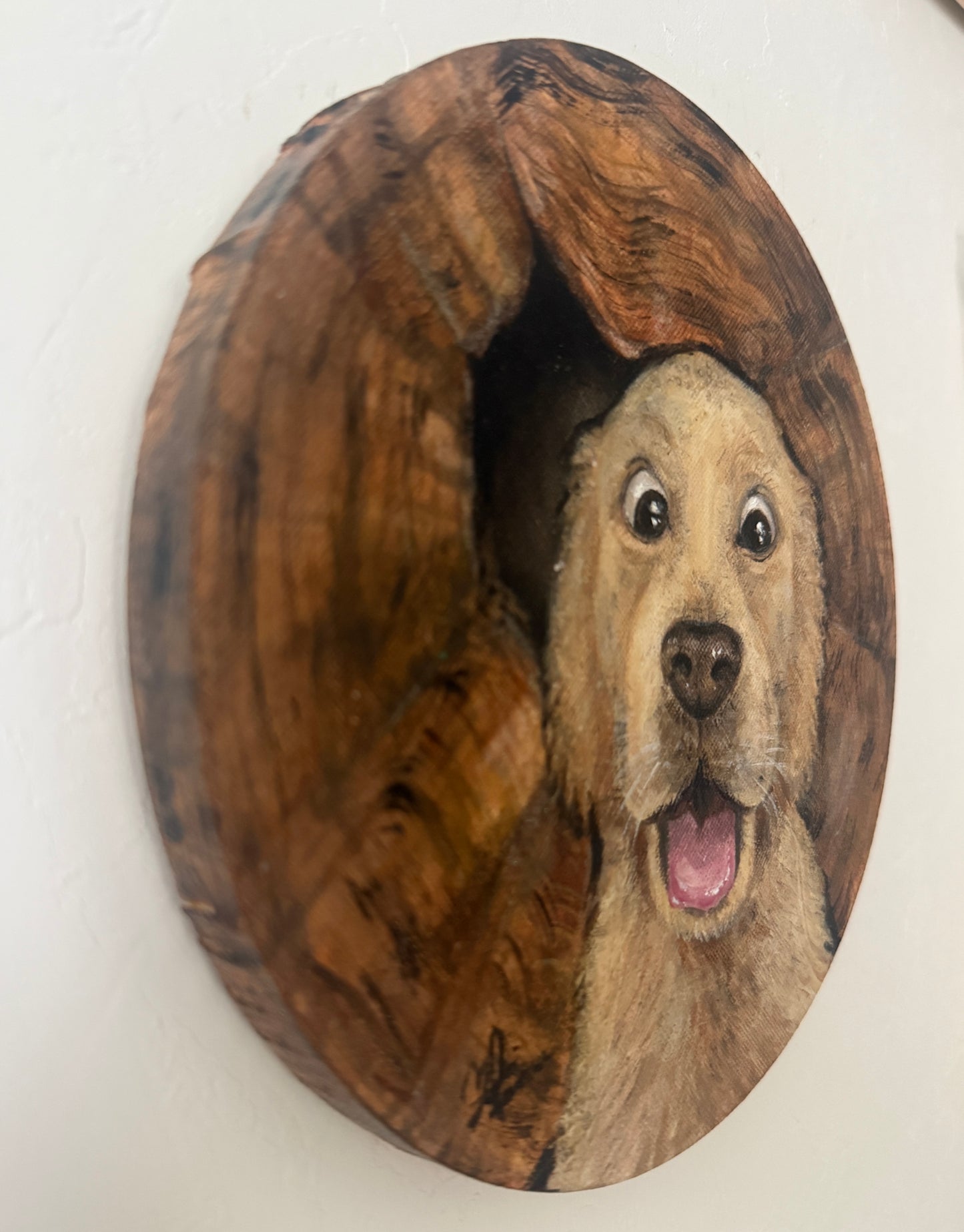 びっくり犬