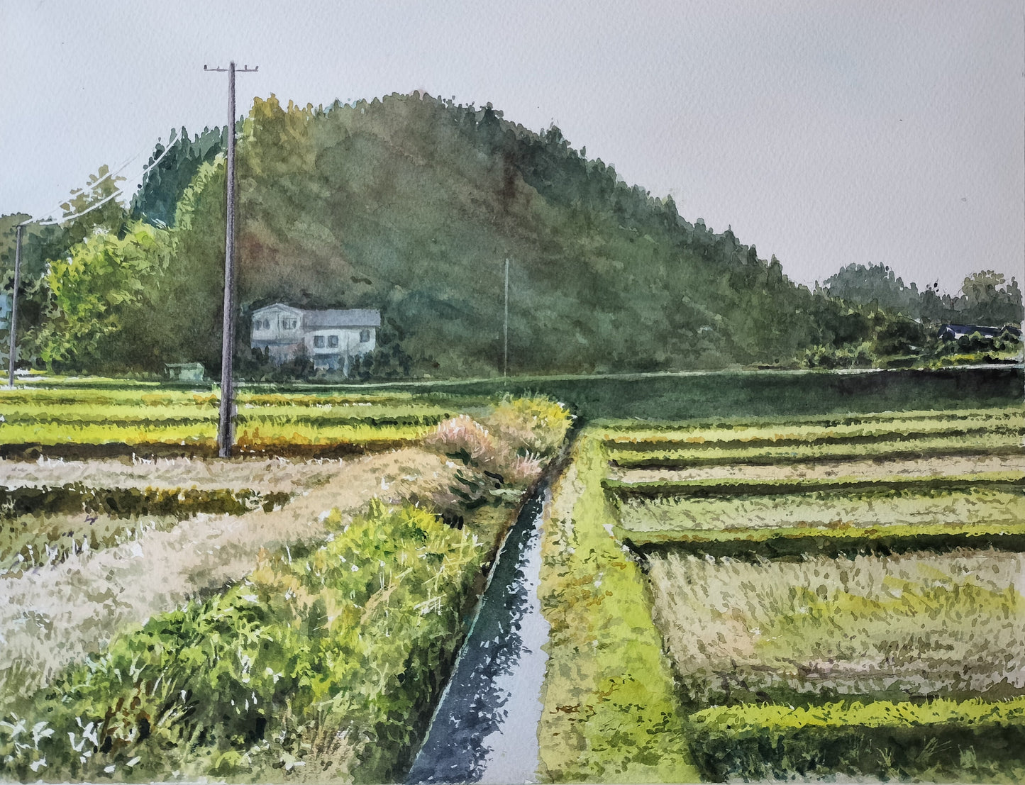 光りを受ける水路