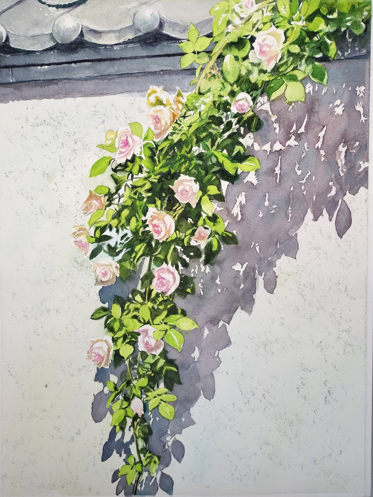 塀の薔薇