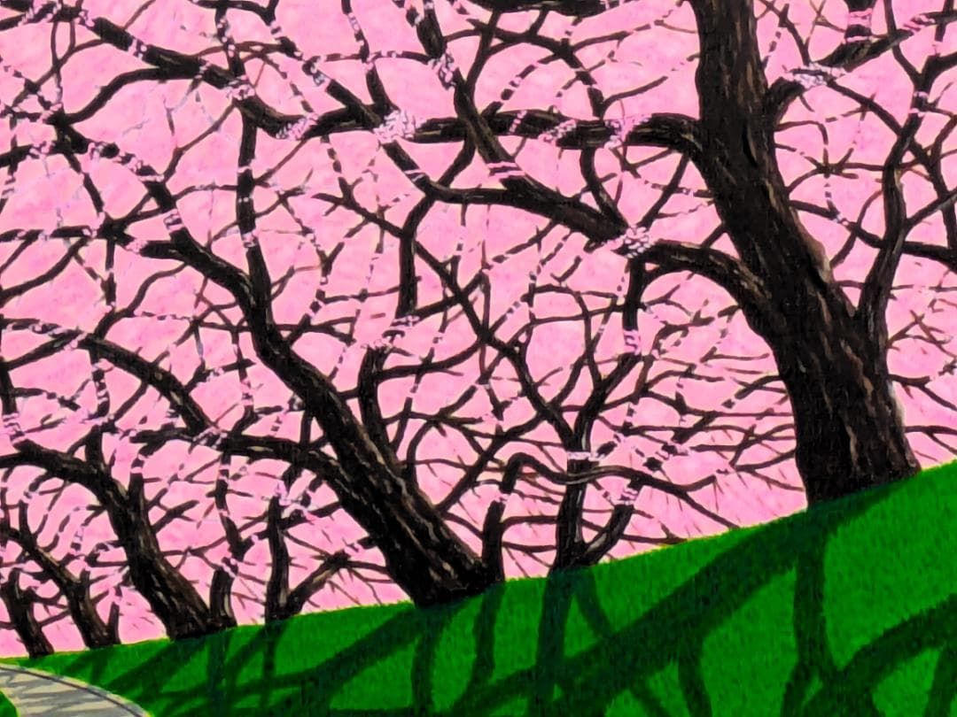桜並木2