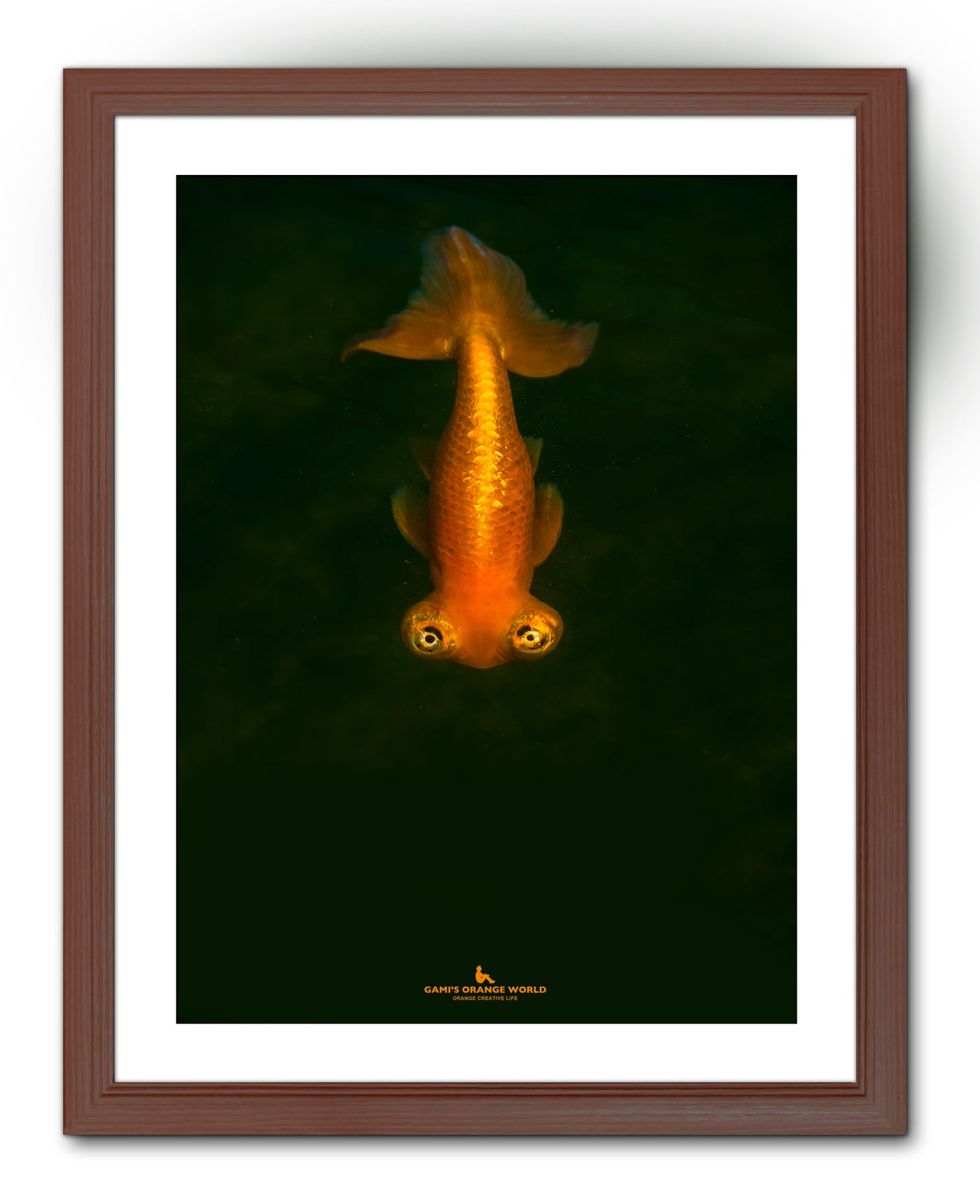【額付アート写真/A3ノビ】GOLDFISH COMING（来る金魚）