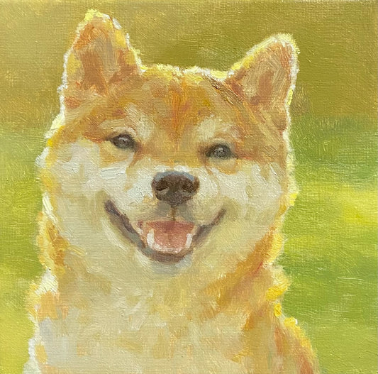小さな柴犬