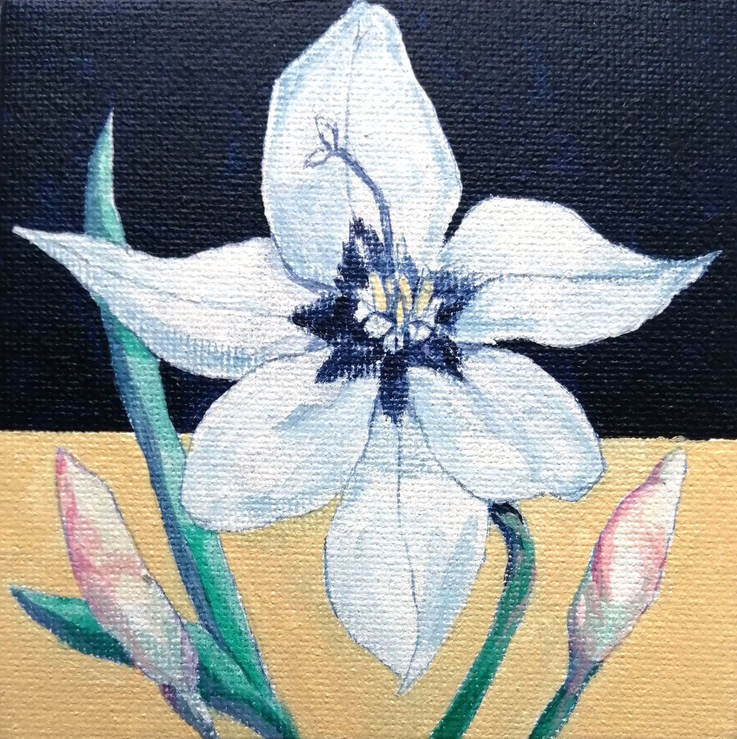 two-tone 　花２