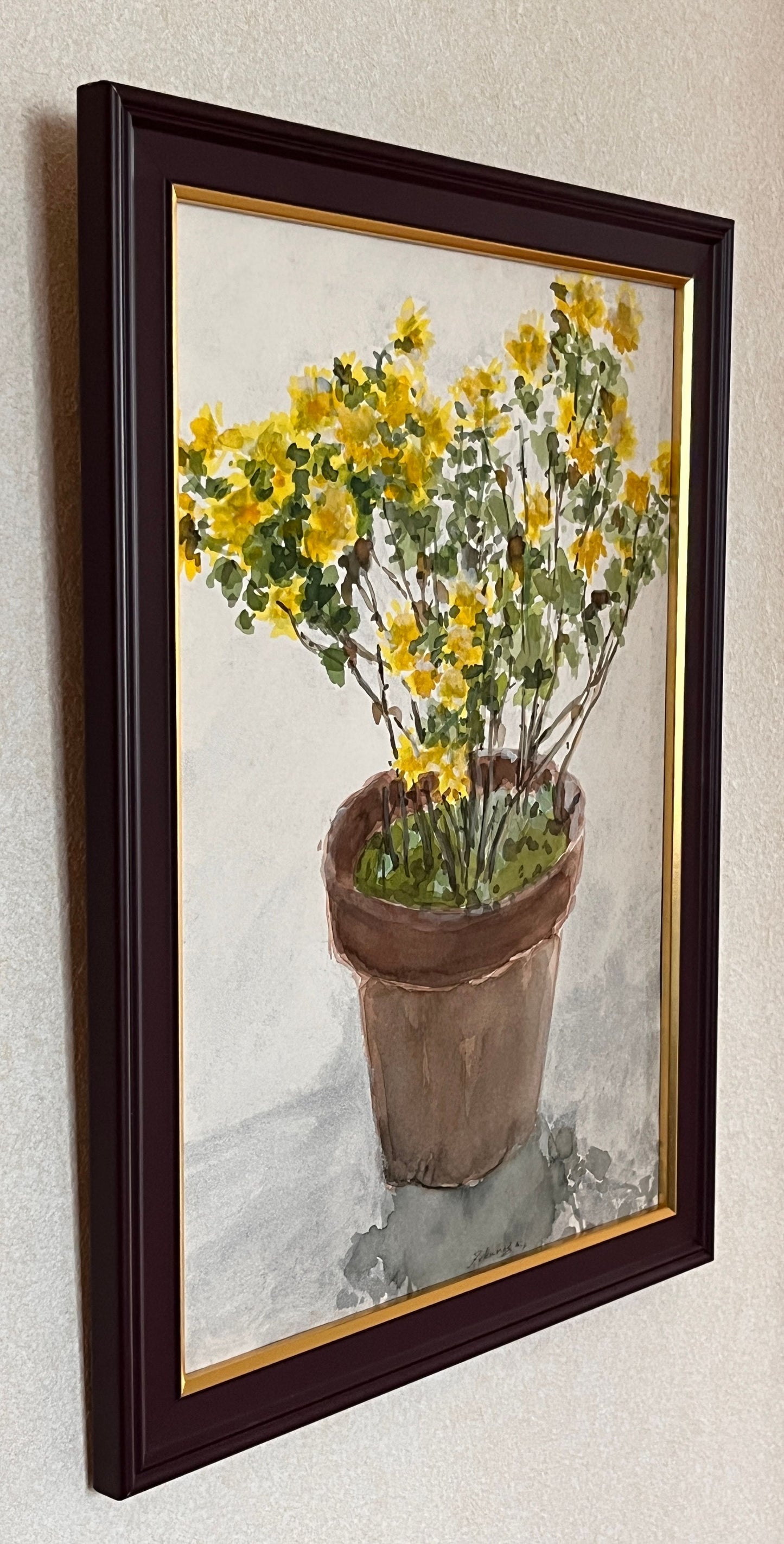 菊鉢
