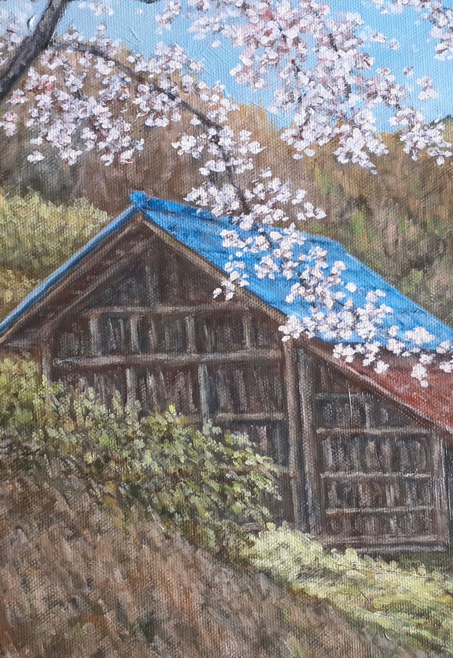 桜