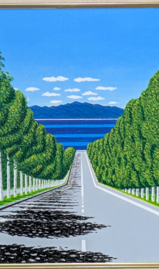 海の見える白樺並木