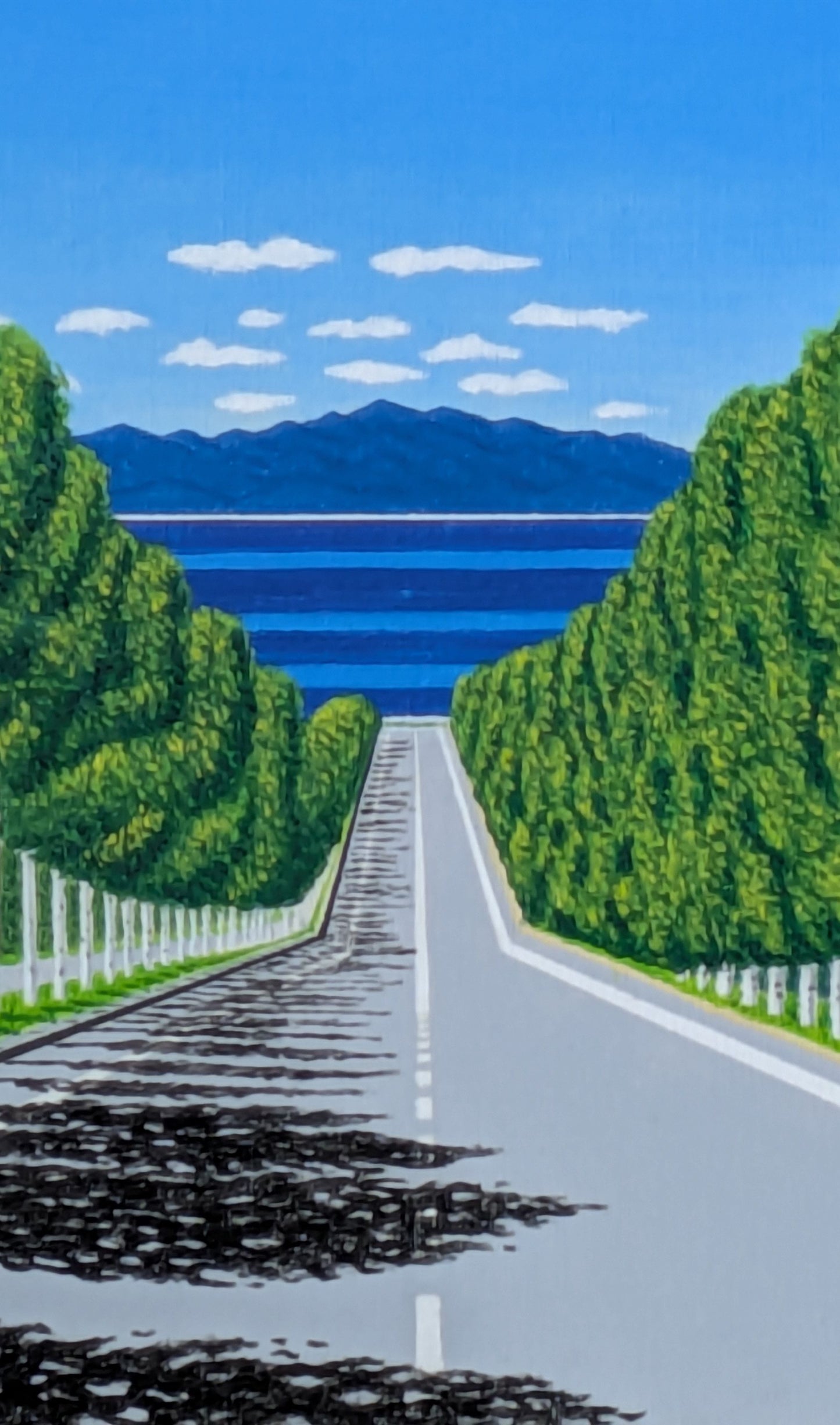 海の見える白樺並木