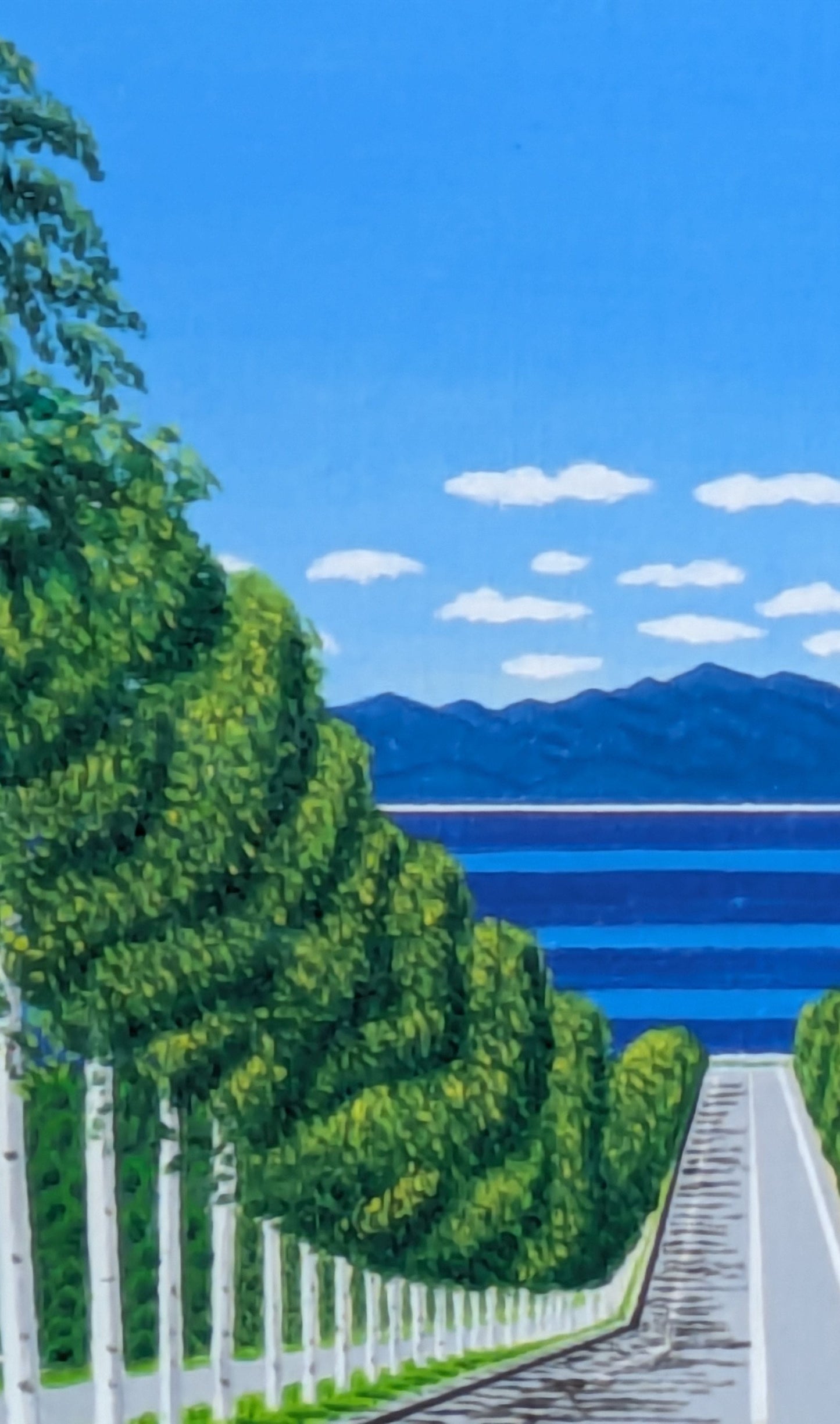 海の見える白樺並木