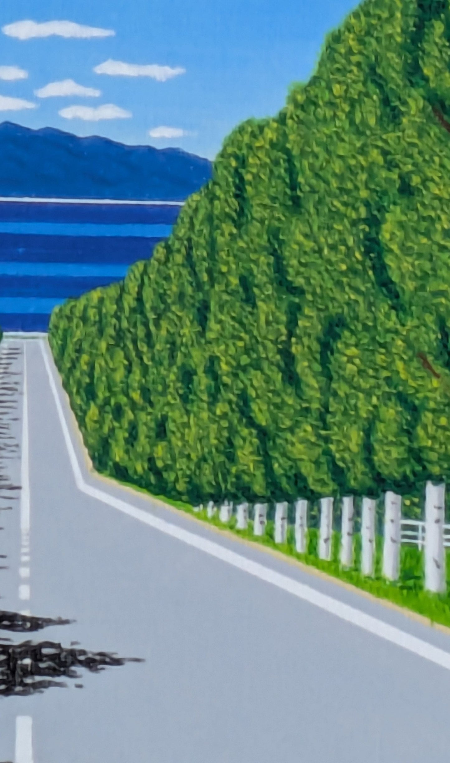 海の見える白樺並木