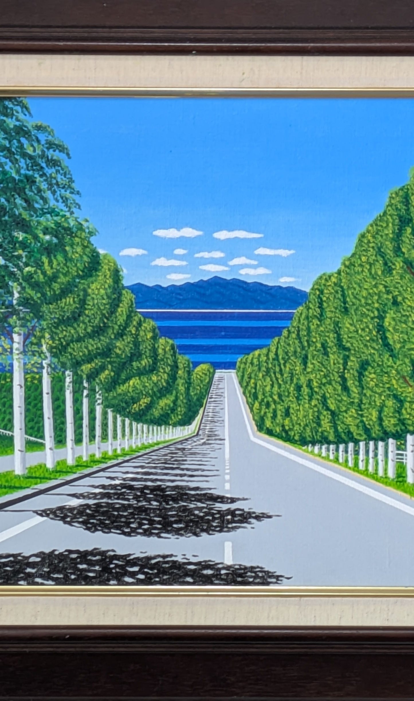 海の見える白樺並木