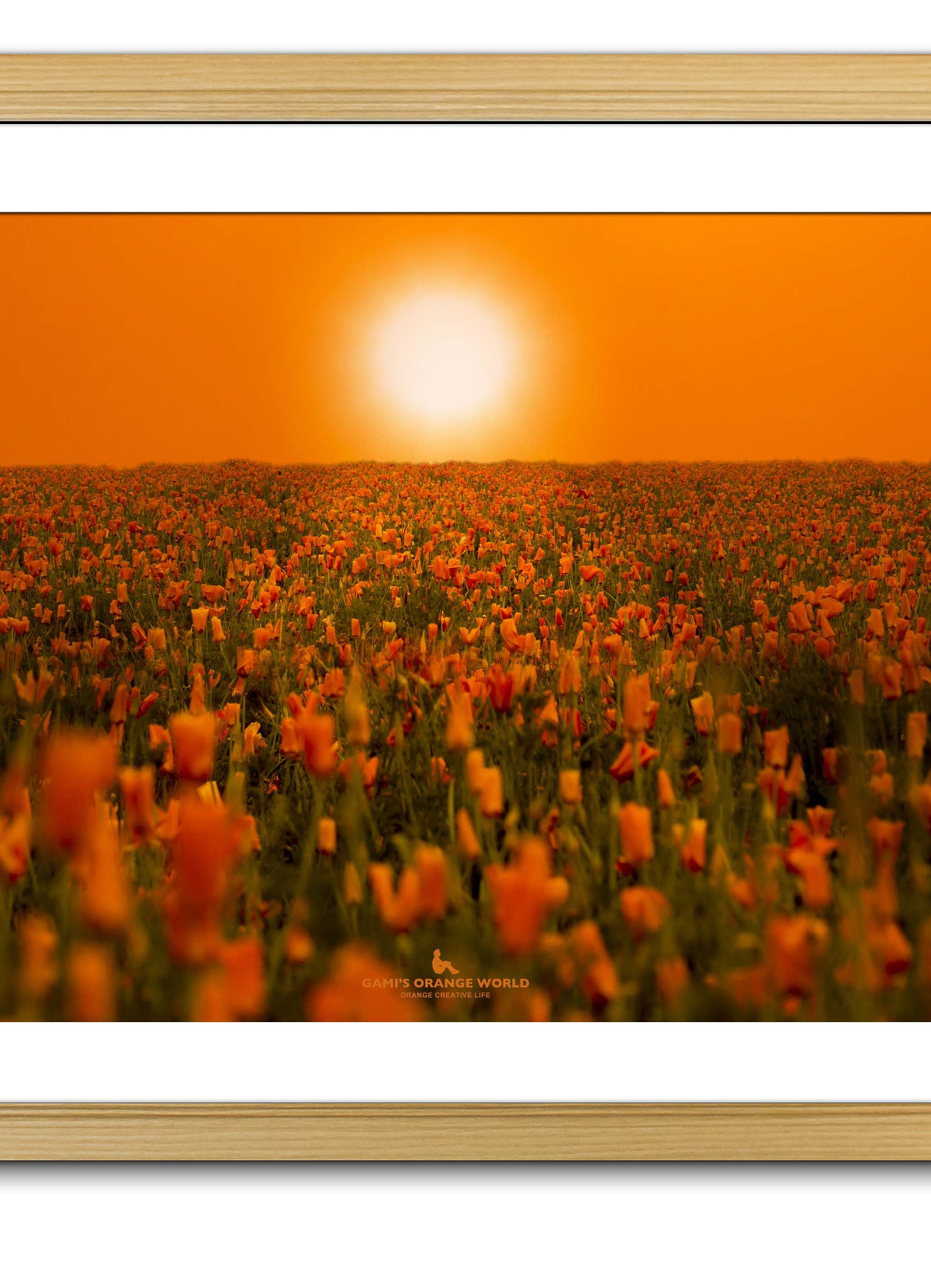【額付アート写真/A3ノビ】ORANGE SUN LIGHTING THE POPPY FIELD（ポピー畑を照らすオレンジの太陽）