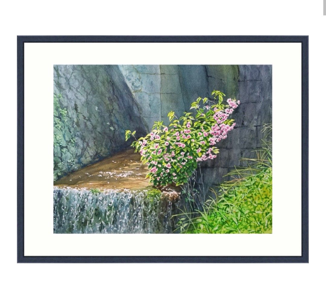 水路を彩る花