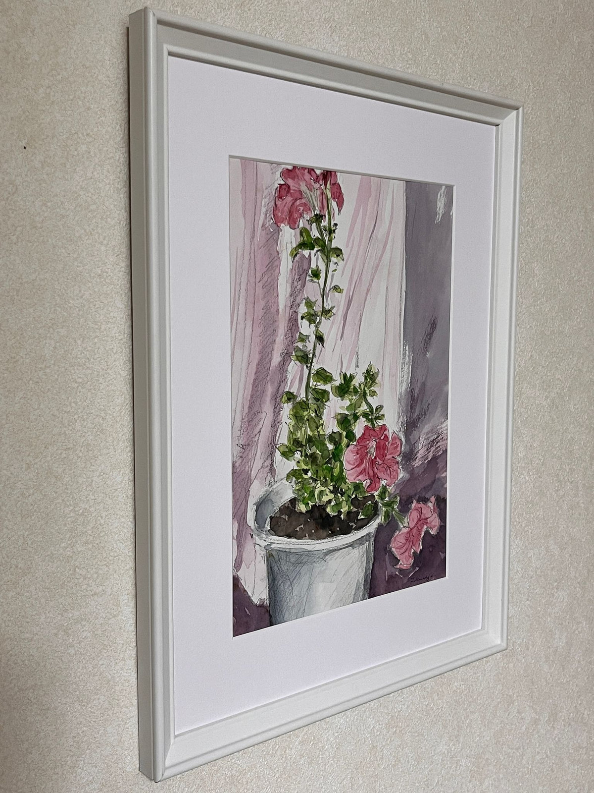 ピンク色のペチュニア