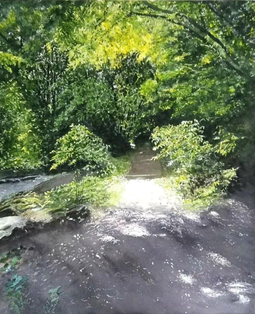 森の陽光
