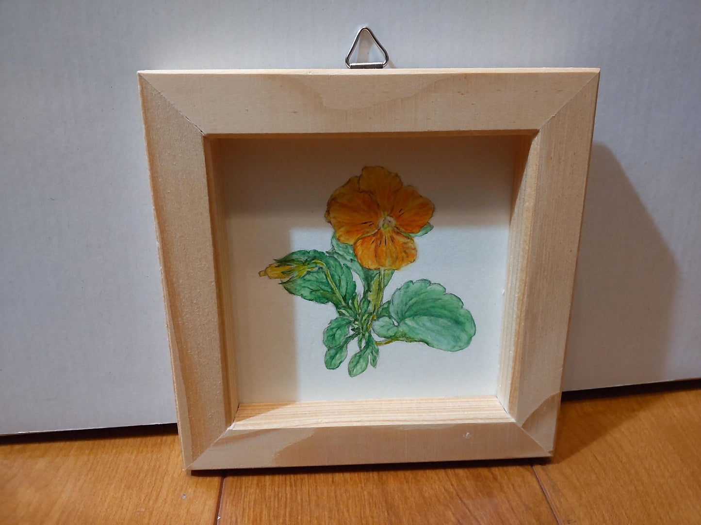 5月のパンジー - FROM ARTIST