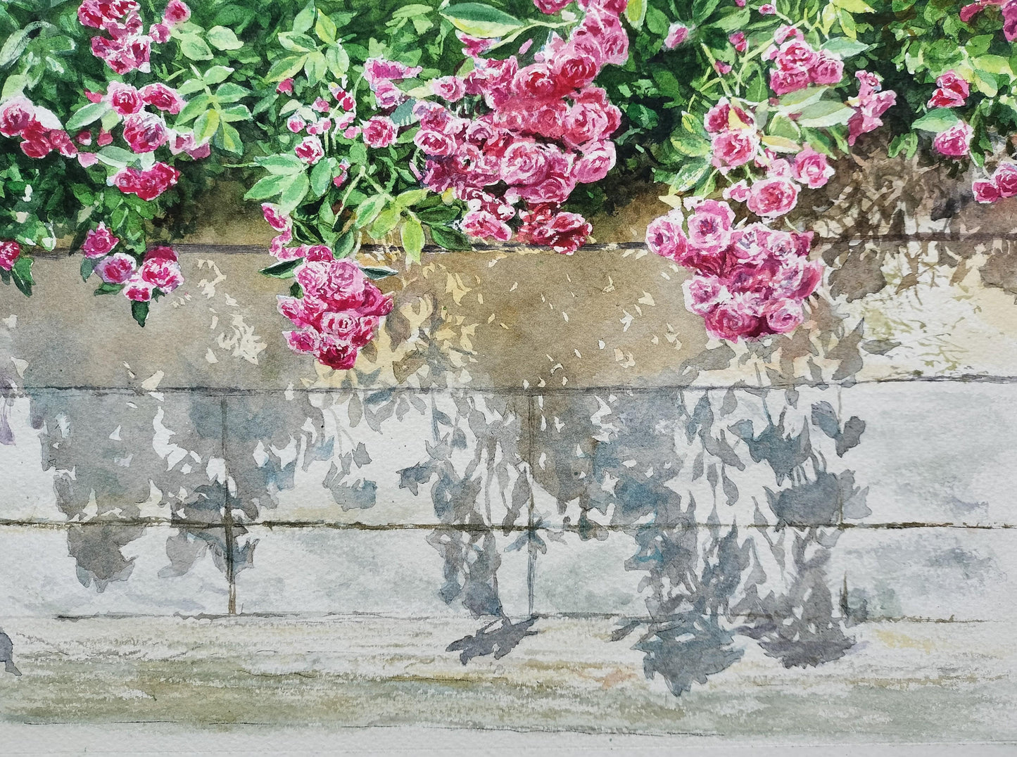 赤い薔薇