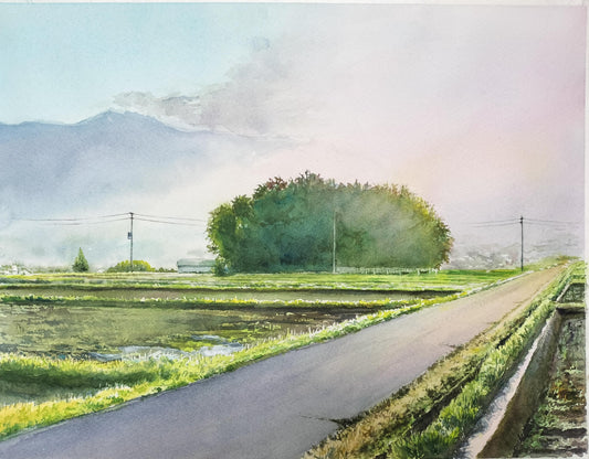 朝日に輝く農道