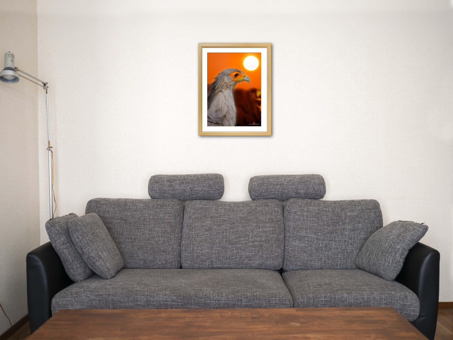 【額付アート写真/A3ノビ】EAGLE WITH ORANGE FACE（顔がオレンジのワシ） - FROM ARTIST