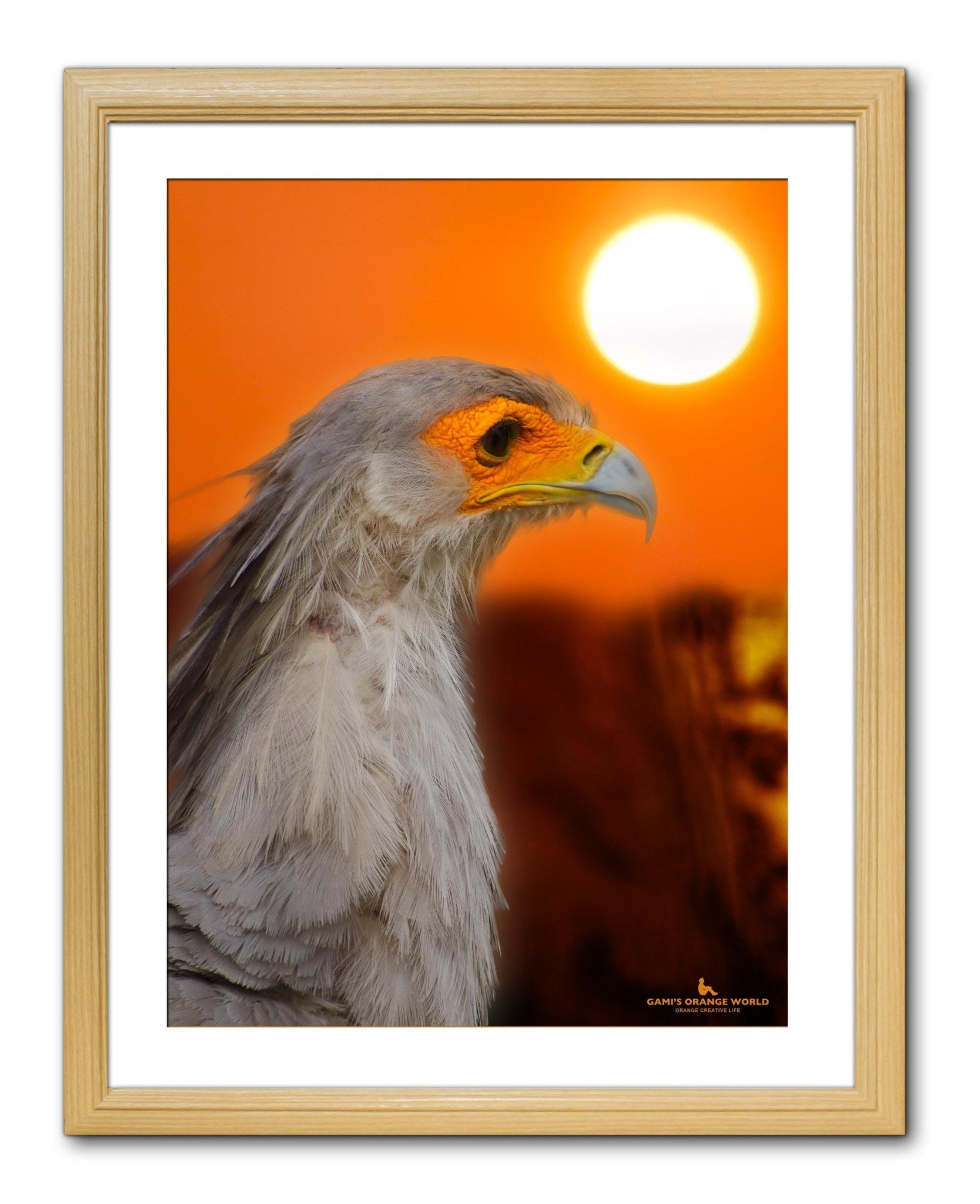 【額付アート写真/A3ノビ】EAGLE WITH ORANGE FACE（顔がオレンジのワシ） - FROM ARTIST