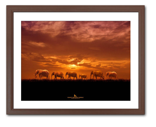 【額付アート写真/A3ノビ】ELEPHANT's ORANGE JOURNEY（象達のオレンジの旅） - FROM ARTIST