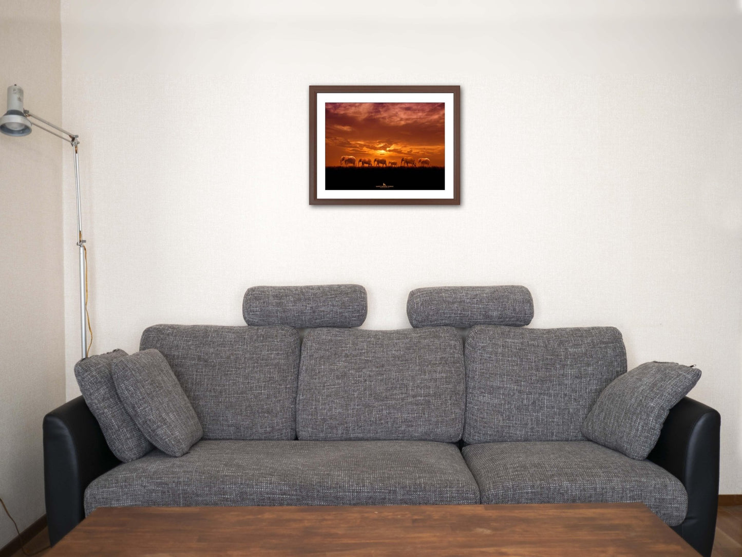 【額付アート写真/A3ノビ】ELEPHANT's ORANGE JOURNEY（象達のオレンジの旅） - FROM ARTIST