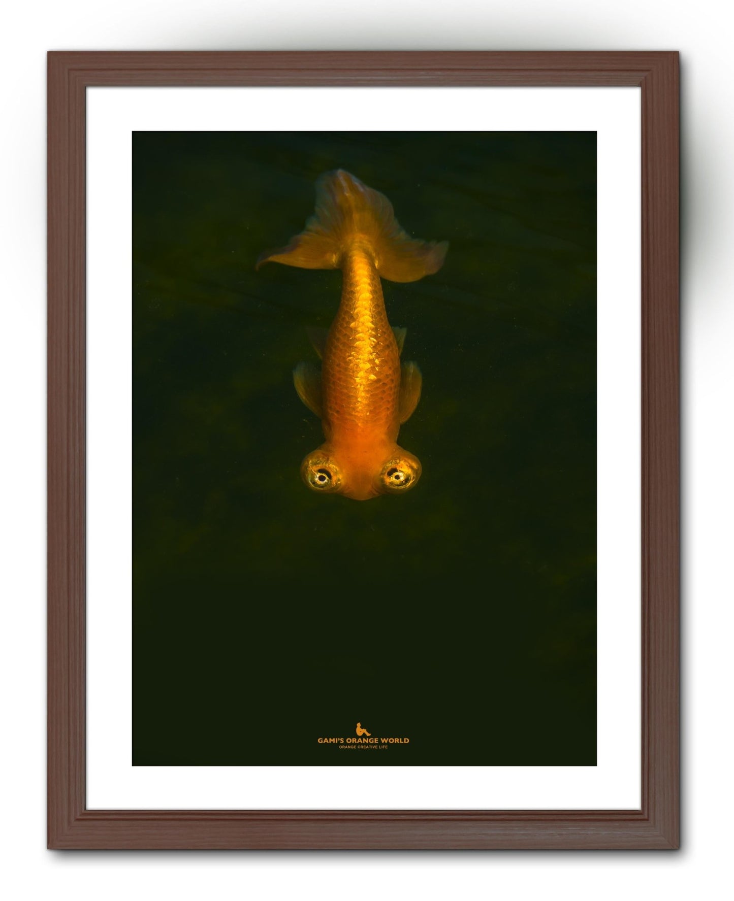 【額付アート写真/A3ノビ】GOLDFISH COMING（来る金魚） - FROM ARTIST
