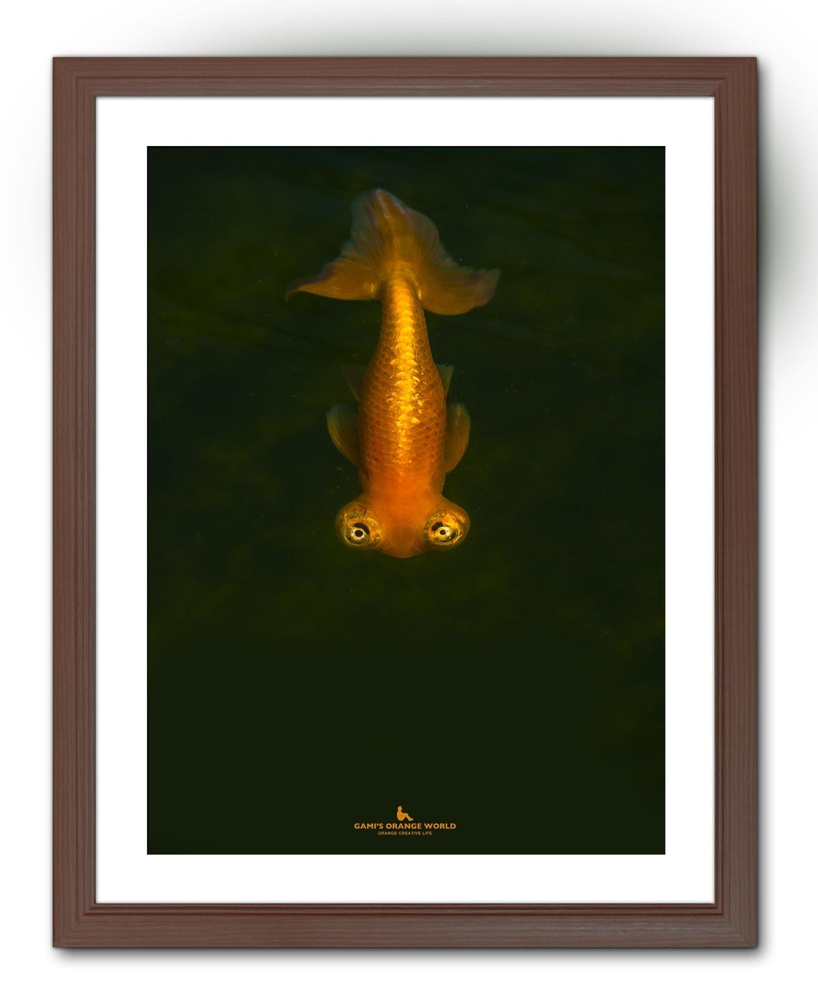 【額付アート写真/A3ノビ】GOLDFISH COMING（来る金魚） - FROM ARTIST